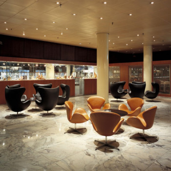 arne-jacobsen-egg-and-swan-chairs-leather-SAS-Royal-Copenhagen-Hotel-fritz-hansen-palette-and-parlor.jpg_1024x1024