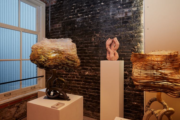 Design Passage 2023 Foto Johan Nieuwenhuize O8A2626