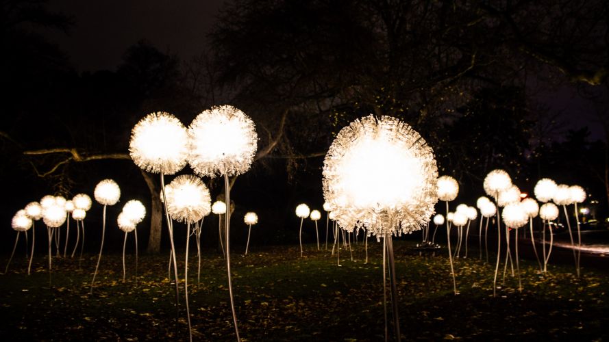 Giant Dandelions by Olivia d’Aboville | 2015