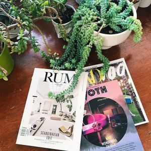 Somebody is happy in Chicago! 
#Repost @sirenbettydesign
・・・
Saturday morning reads as we finish up a few things at the office. #woth #wonderful #wonderfulthings #dutch #dutchdesign #independentmagazine #designmagazine #people #places #things #creatives #