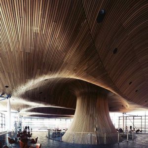 Mushrooms again! 
In the National Assembly of Wales. By Richard Rogers. #richardrogers #mushrooms #mustbehallucinating #woth #wonderful #wonderfulthings #dutch #dutchdesign #independentmagazine #designmagazine #people #places #things #creatives #creativei