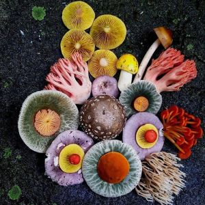 We have got this thing with mushrooms... "Abundance"
Via 