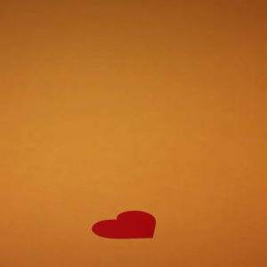 Happy Valentine’s day from us and the Wonderful @rogierwieland
・・・
Repost - Happy Valentine’s day! ❤️ Originally we made this for Dutch docu series ‘Long live love’ by Saskia Flipsen. #valentinesday #stopmotion #animation #love #❤️ #