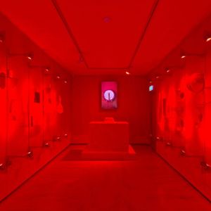 RED ALLERT! Don’t miss out on Dutch designer @sanderwassink his intriguing installation 特斯韦克 — Tè sī wéi kè. On show at the arco-pavilion in Winterswijk from 02.03 - 16.09.2018. The overwhelming color red puts the objects in a spherical, almost religious 