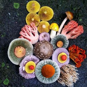 How exceptional nature can be