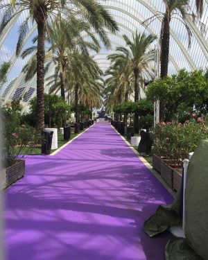 Lilac still the colour ‘du jour’ #trend #lilac #valencia #calatrava #issueno10 #NL-edition #instoresnow #modernicons #lilac #woth #wonderful #wonderfulthings #wothson #dutch #dutchdesign 
#dutch #dutchdesign #independentmagazine #designmagazine #people #p