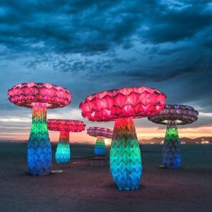 Mushrooms! ・・・
Shrumen Lumen by @foldhauscollective for #burningman2016 via @ronnydevylder #woth #wonderful #wonderfulthings #wothson #dutch #dutchdesign #independentmagazine #designmagazine #people #places #things #creatives #creativeindustry #style #int