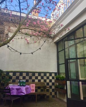 Plop, plop... plop,plop etc spring!
#magnolia #magnolias #magnoliatree #spring #plop