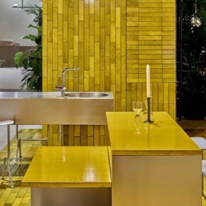 Dit weekend opent WOTH Embassy of Design een bijzondere expositie van het fenomenale Das Haus concept dat het Australische designersduo Truly Truly in januari lanceerde bij IMM Cologne. De expositie valt damen met het Haagse @rewirefestival dus combineren