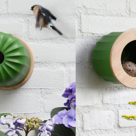 Cactus Bird feeder/house